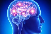 فرآیند شکل گیری عادت (چگونه عادت در مغز شکل می گیرد)
